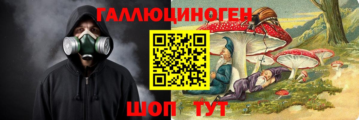 продажа наркотиков  Вход с VPN  Галлюциногенные грибы прущие грибы  Луга  Псилоцибиновые грибы GOLDEN TEACHER 