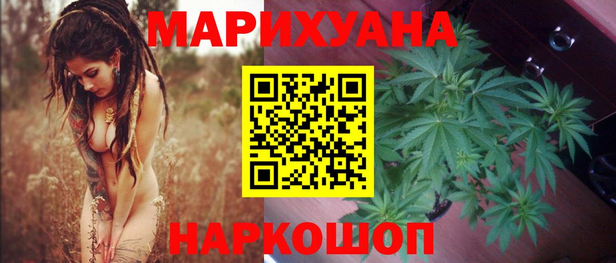 Каннабис планчик Луга